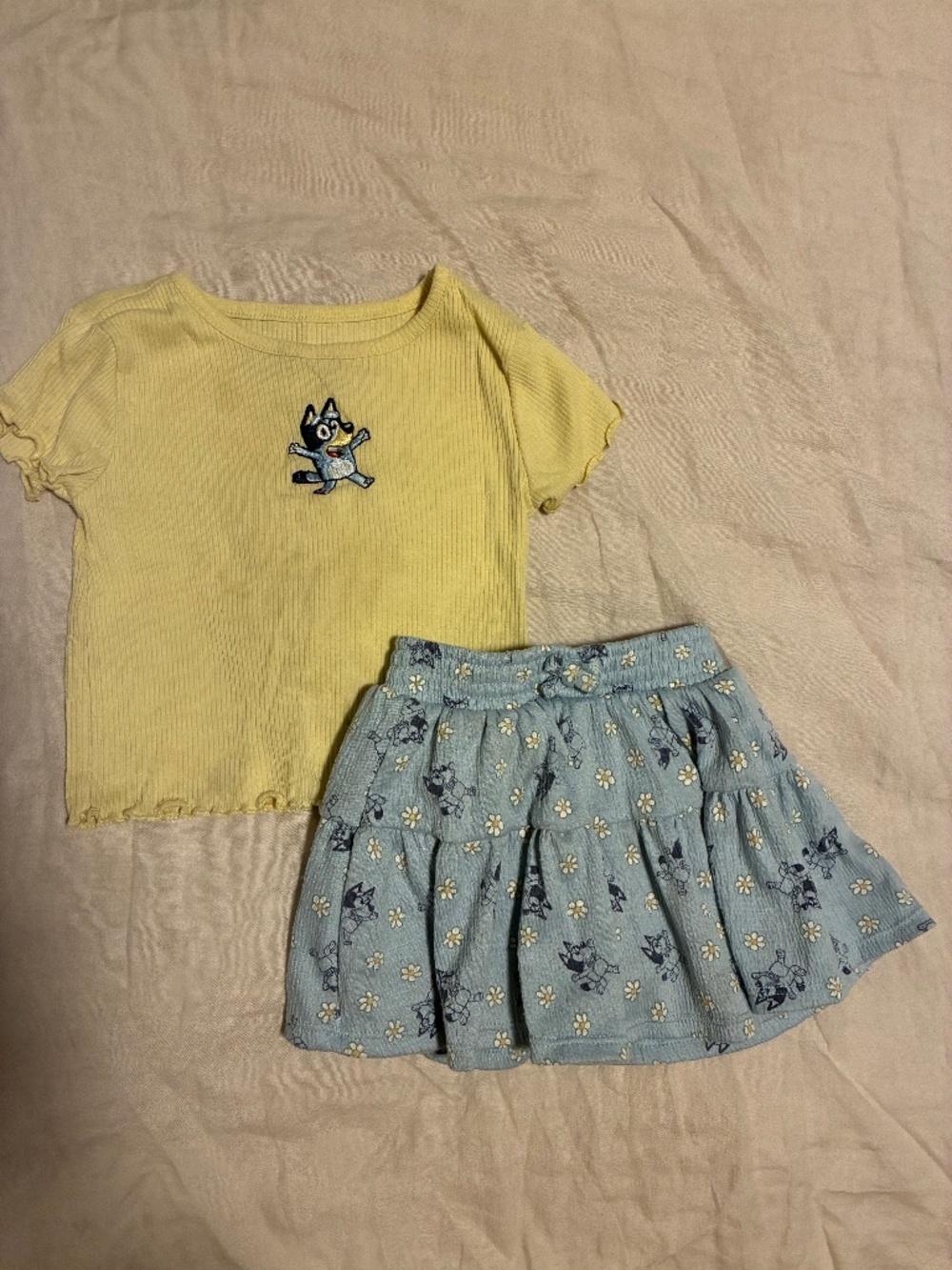 Bluey skort and shirt set